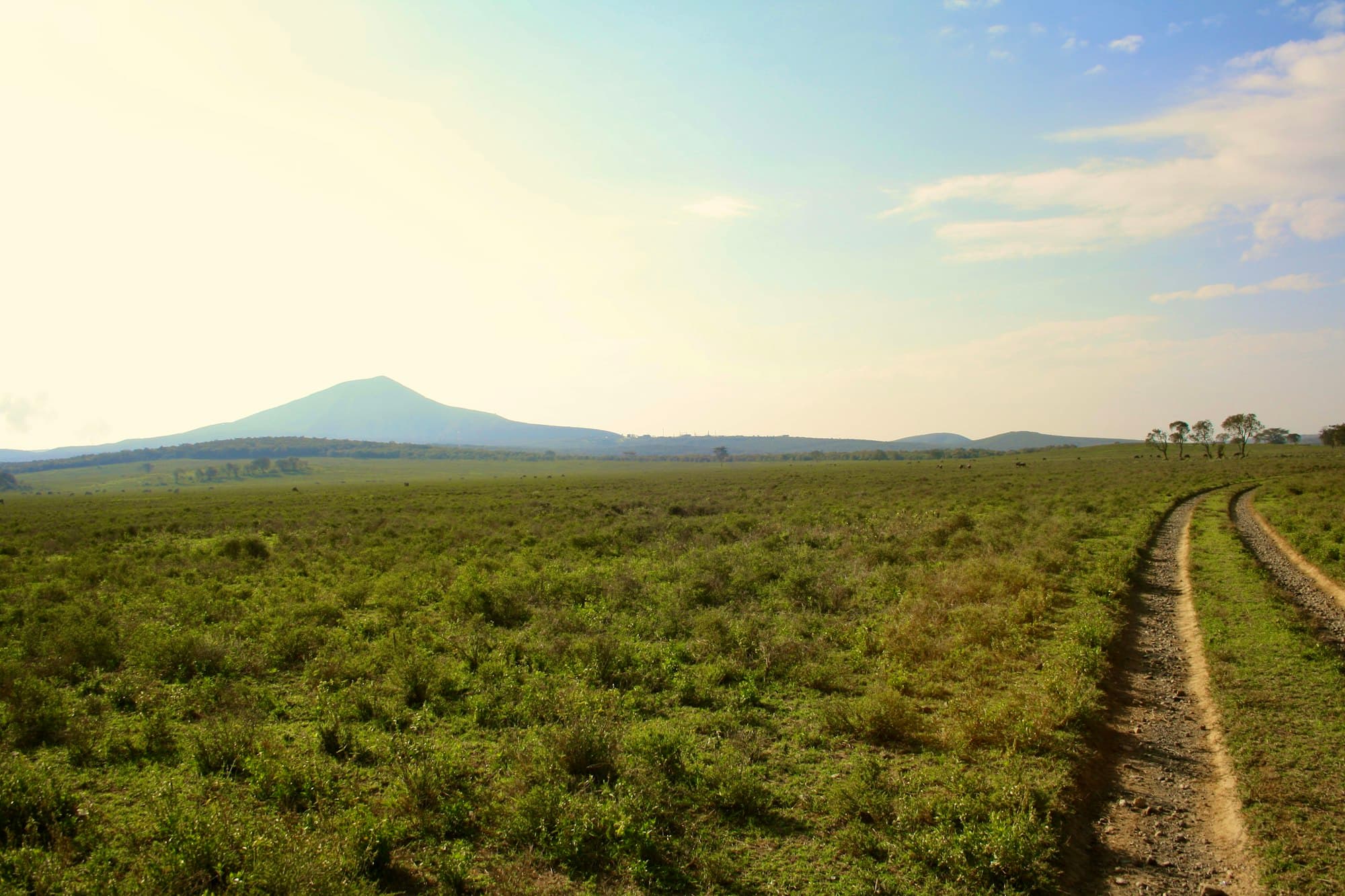 Green farmland stretching towards a mountain on the horizon
