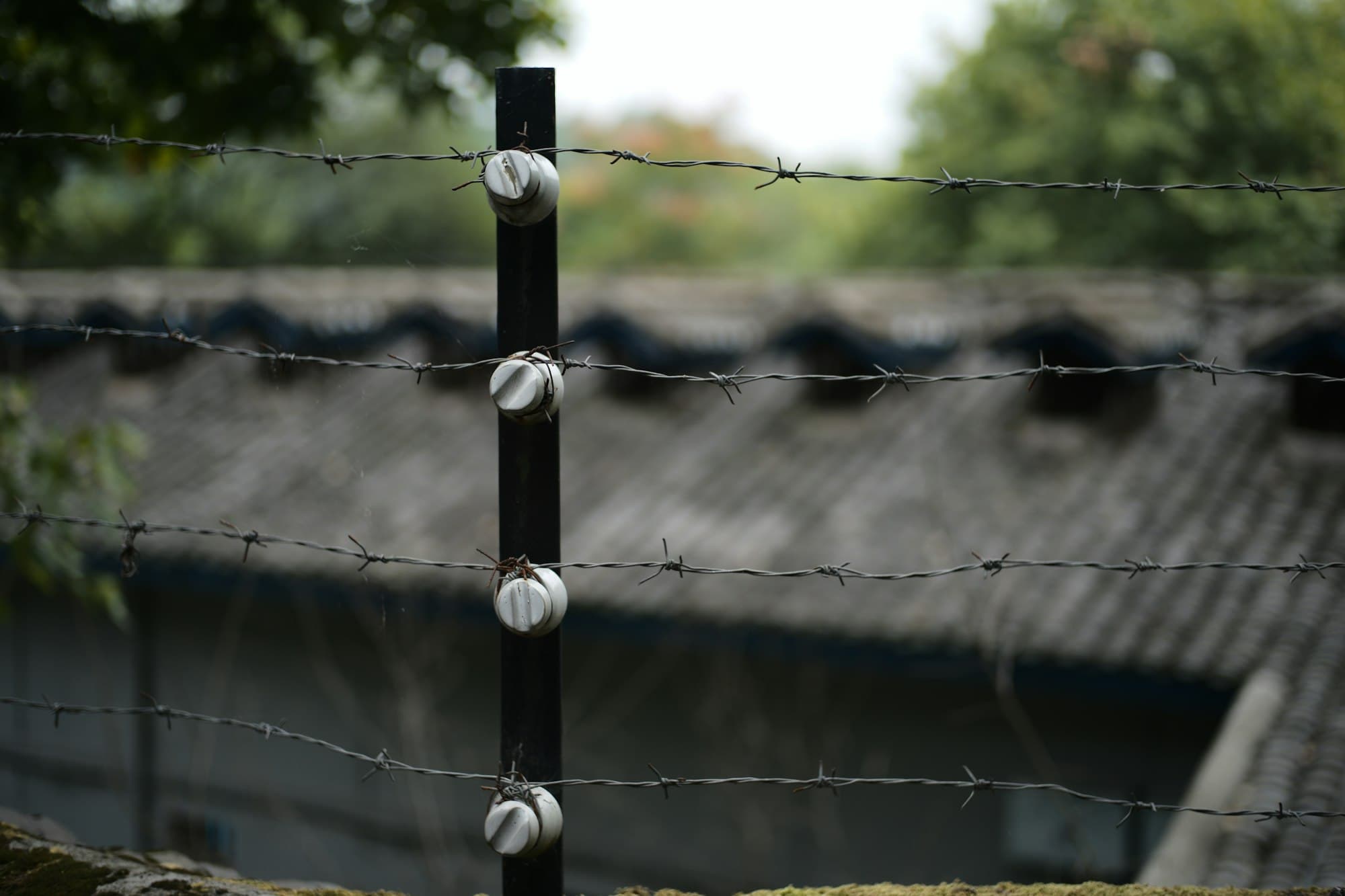 Electric fence wires and insulators running along the top of a perimeter wall